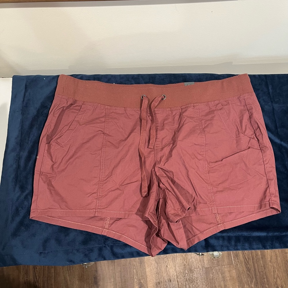 NWT torrid shorts